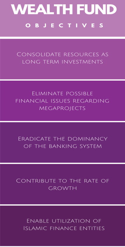 wealth fund objectives